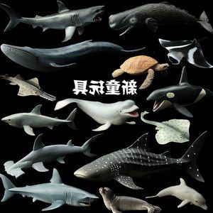 悠哉 其它水族用具設(shè)備 第1張