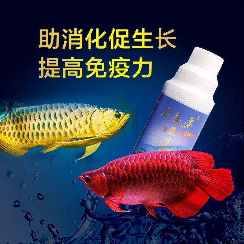 泰安觀賞魚市場三元康活性益生菌 觀賞魚市場（混養(yǎng)魚） 第7張