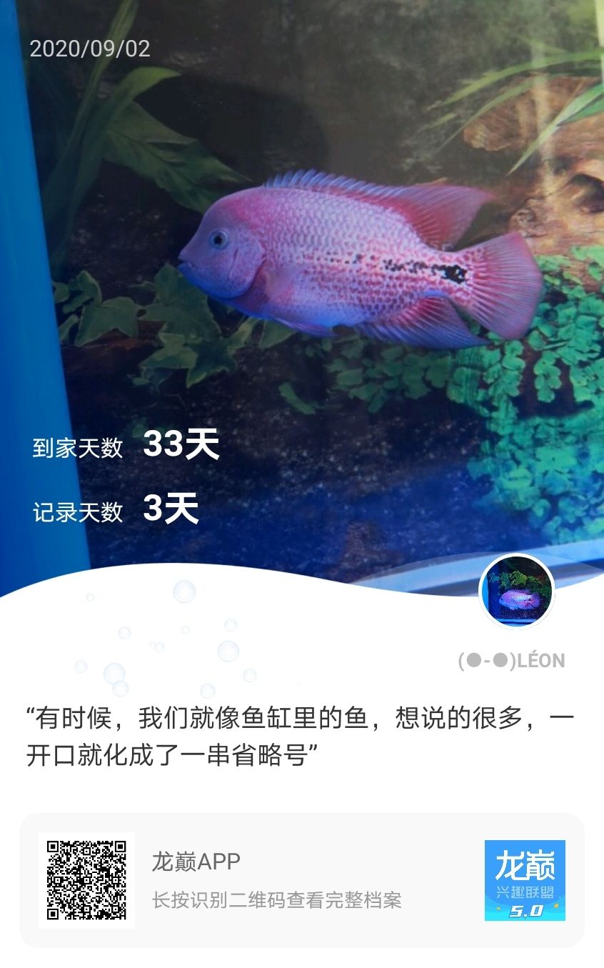 一個月記錄 魚缸等水族設(shè)備 第2張