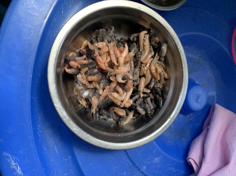 隴南觀賞魚市場又到了備魚食的時候了 觀賞魚市場（混養(yǎng)魚） 第4張