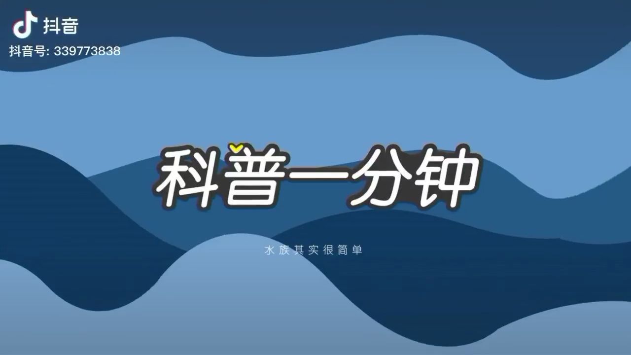 Eva講課 慈雕魚 第2張