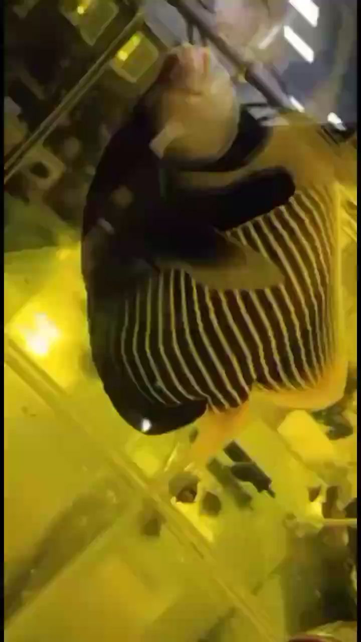 克拉瑪依水族館瞧一瞧看一看啦