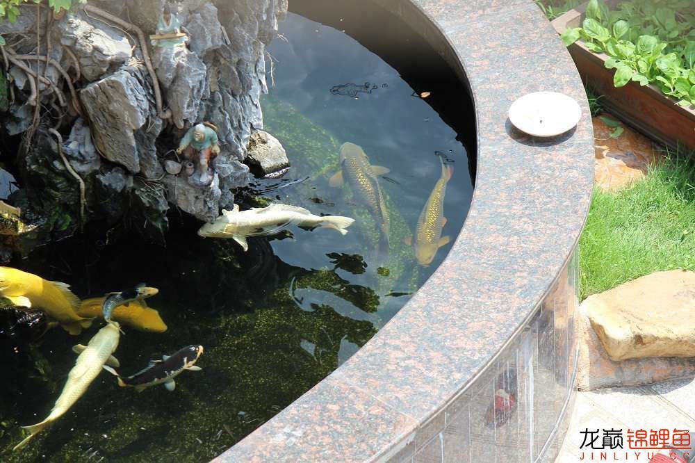 商丘水族館魚(yú)很雜但也樂(lè)在其中