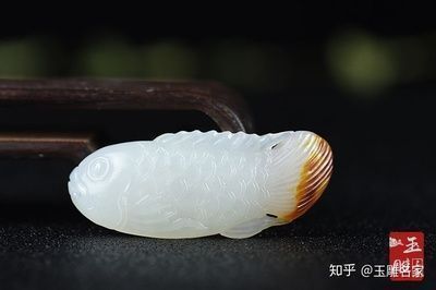 畫金龍魚的畫家（中國(guó)畫壇上著名畫家張利宏的金龍魚作品代表作品的特點(diǎn)）