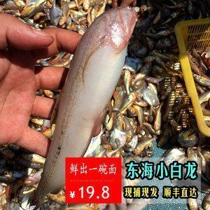 營口市西市區(qū)洪忠觀賞魚養(yǎng)殖場(chǎng)（洪忠觀賞魚養(yǎng)殖場(chǎng)） 水族周邊