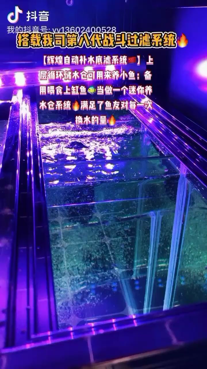 孝感觀賞魚市場我司第8??代戰(zhàn)斗系統