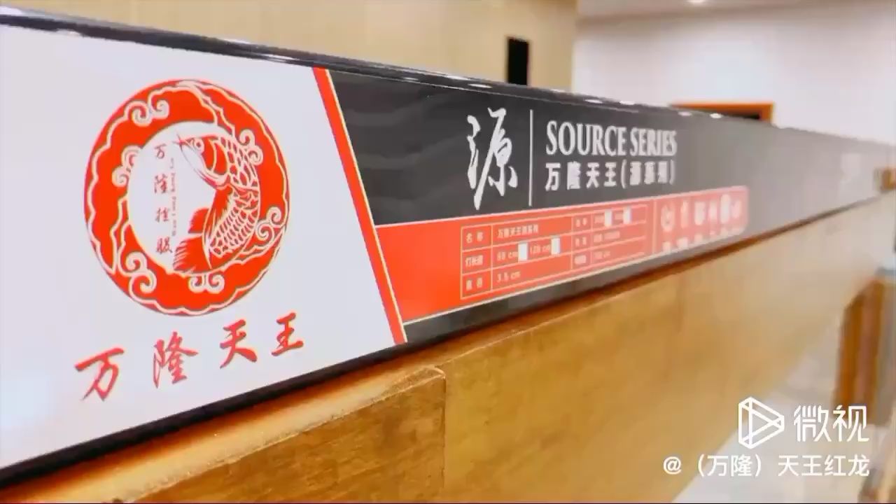 資陽觀賞魚市場太陽燈 觀賞魚市場（混養(yǎng)魚） 第2張