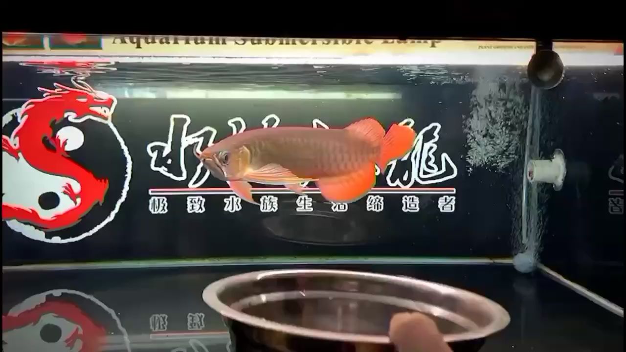 賽級(jí)超神打卡啦 肺魚 第2張