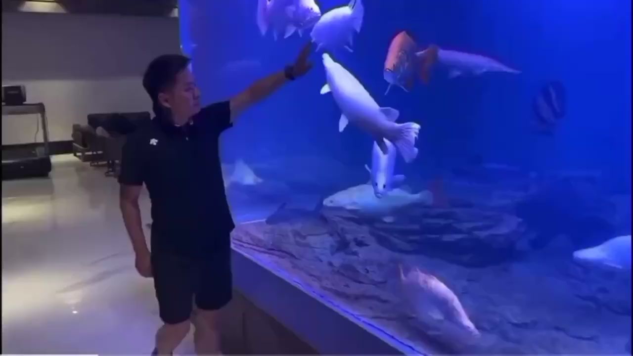 喀什水族館土豪唯有如此 肺魚 第2張