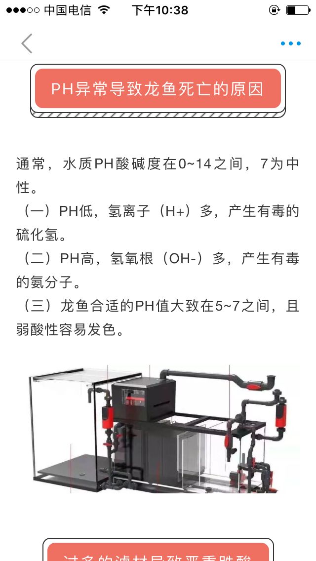 營口觀賞魚市場這帖子不能評論但是沒看懂 觀賞魚市場（混養(yǎng)魚） 第1張