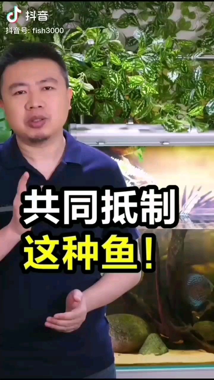 說得好說的對 魚缸等水族設備 第2張