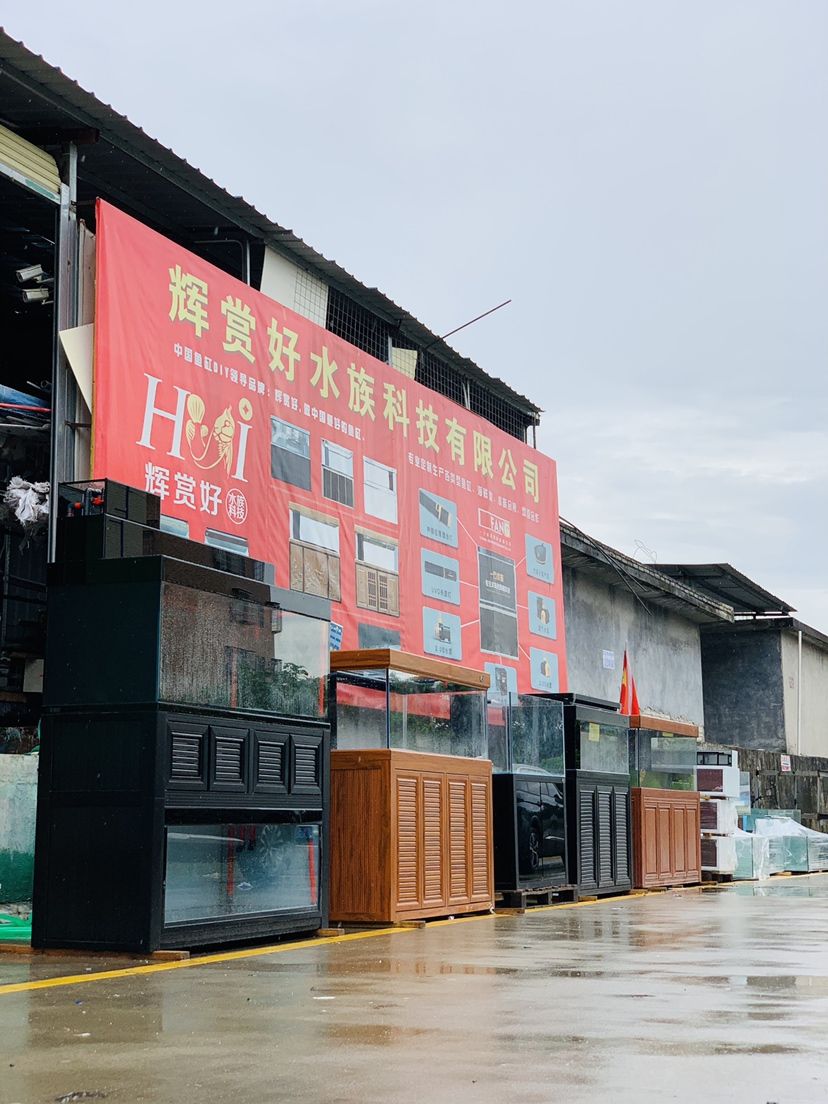 晉城水族館福建省福州市鼓樓區(qū) 紅龍專用魚糧飼料 第1張