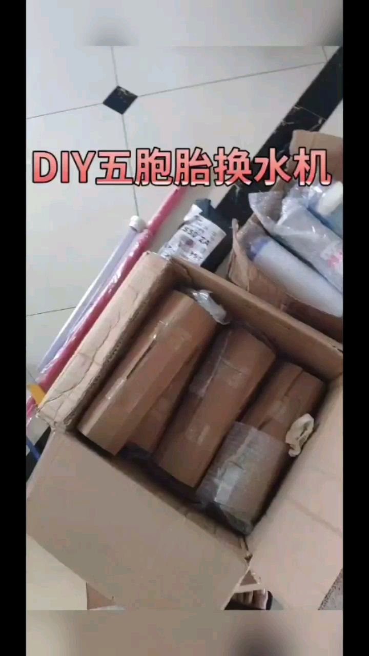 嘉興觀賞魚市場DIY換水機(jī) 觀賞魚市場（混養(yǎng)魚） 第2張