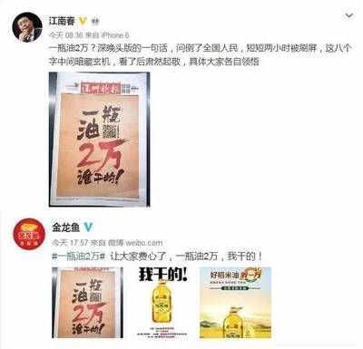 金龍魚的文案短句（關(guān)于金龍魚的文案短句） 龍魚百科 第4張