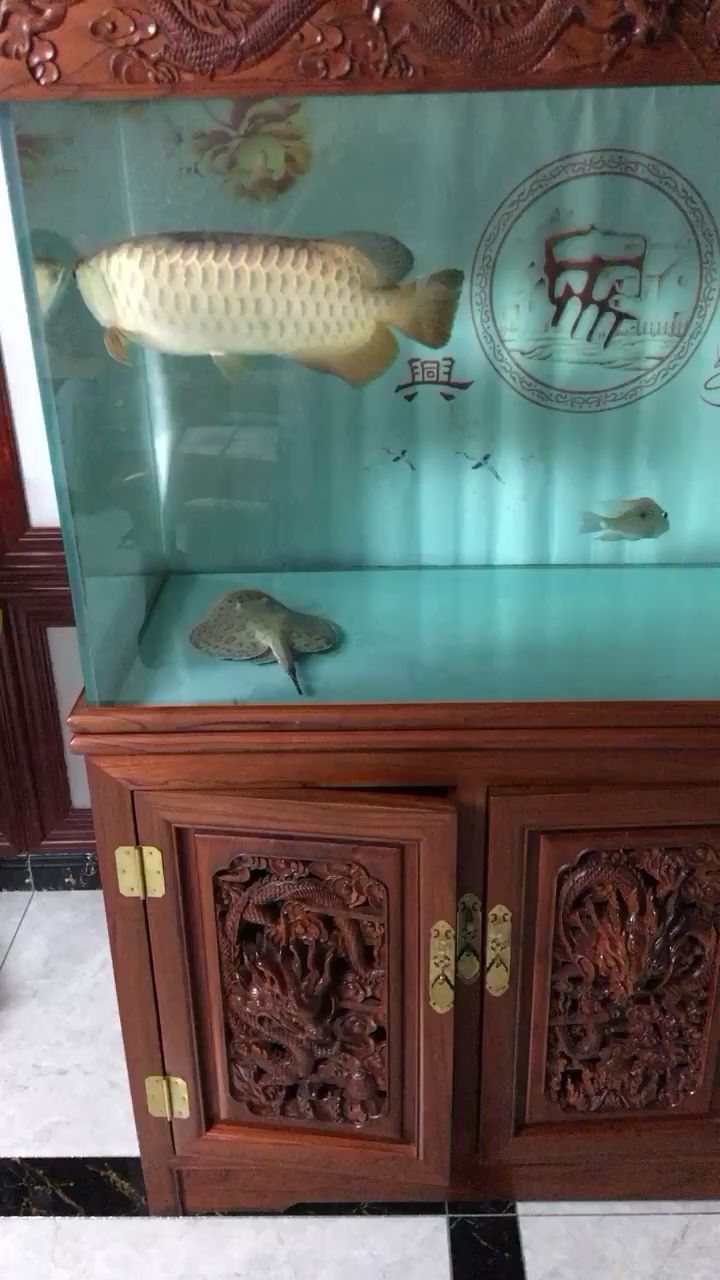 阿拉善盟水族館回家看魚