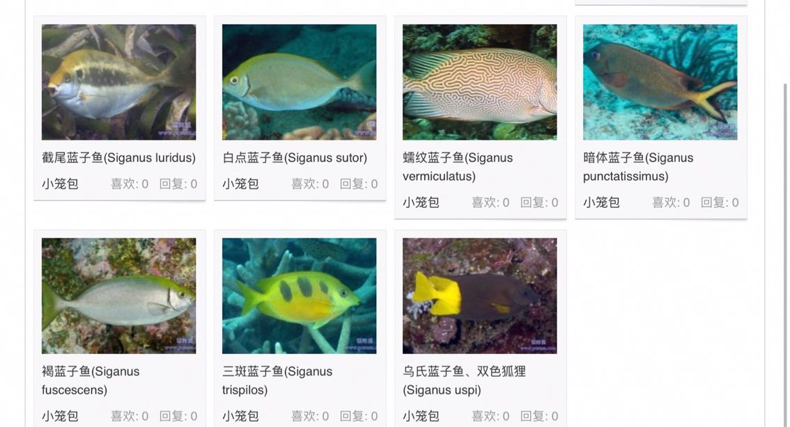 不能與珊瑚兼容的生物 女王大帆魚(yú) 第22張