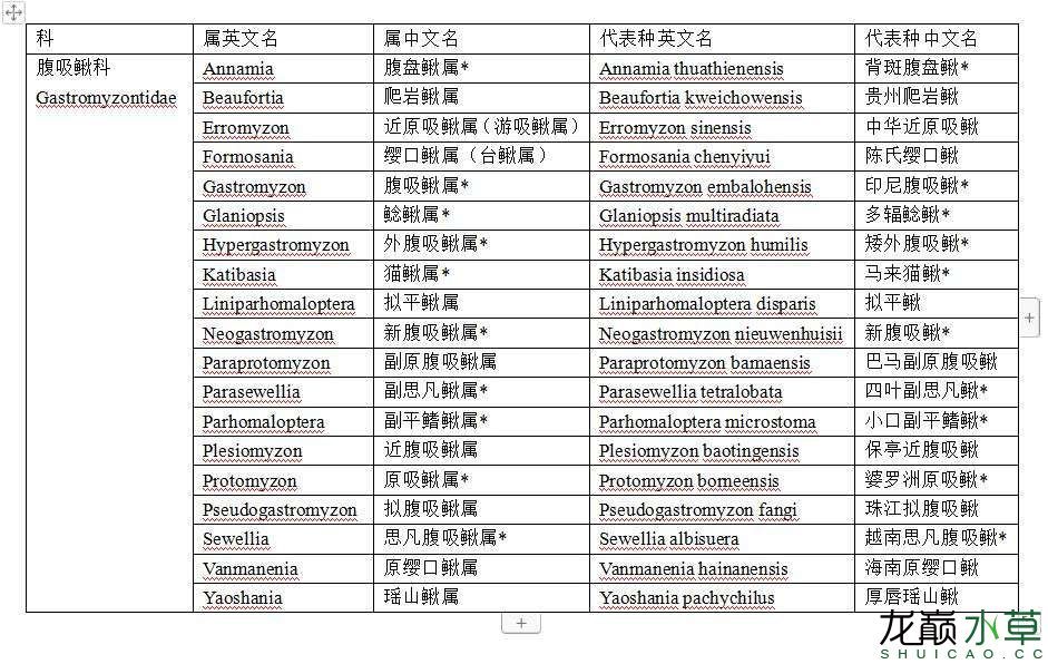 南昌水族館腹吸鰍科爬巖鰍屬魚類匯總