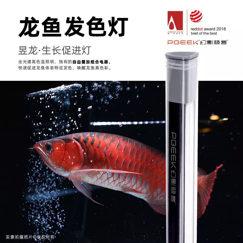 到手價(jià)僅239的龍魚發(fā)色燈