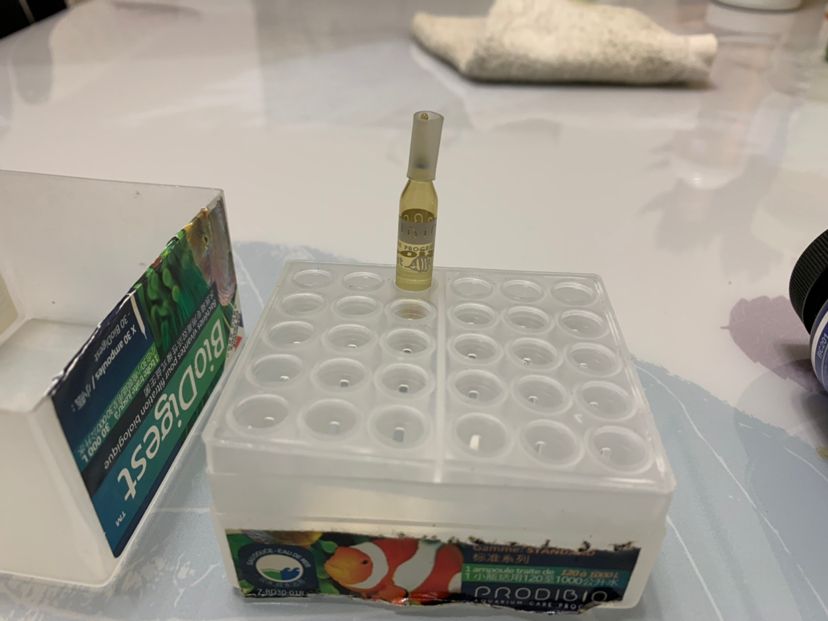 消化細菌的使用體驗 馬拉莫寶石魚苗 第6張