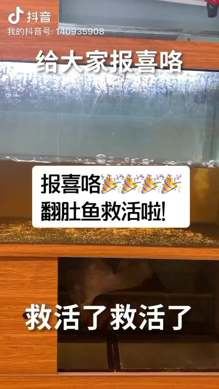 救活了救活了