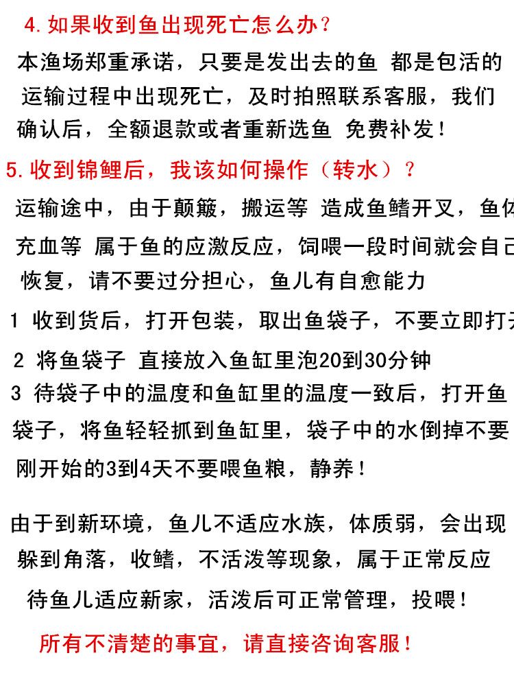 這個(gè)黃金貓多少大洋可以買(mǎi)一條??？