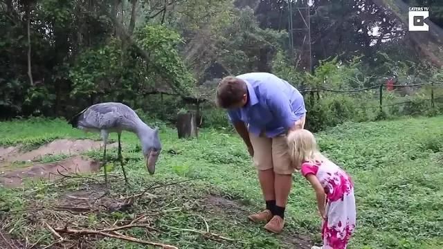 求大神賜教魚(yú)病了