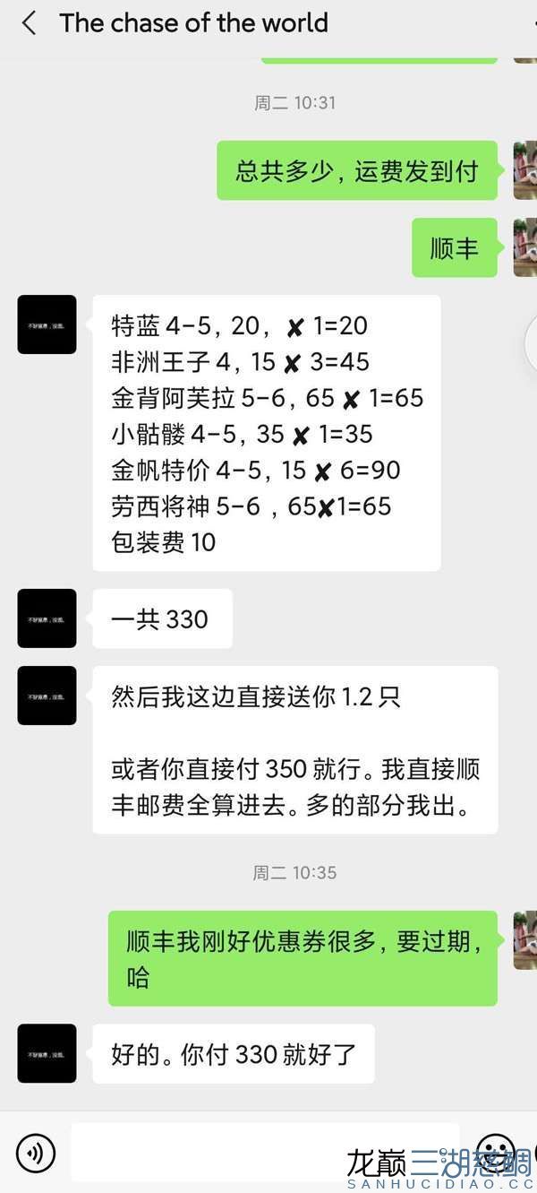 透露一個福建魚商奸商亂發(fā)貨騙錢賣的垃圾魚病魚 B級過背金龍魚 第4張