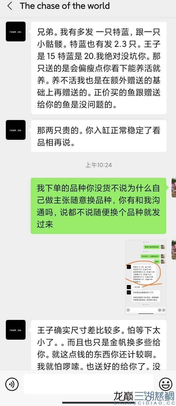 透露一個福建魚商奸商亂發(fā)貨騙錢賣的垃圾魚病魚 B級過背金龍魚 第9張