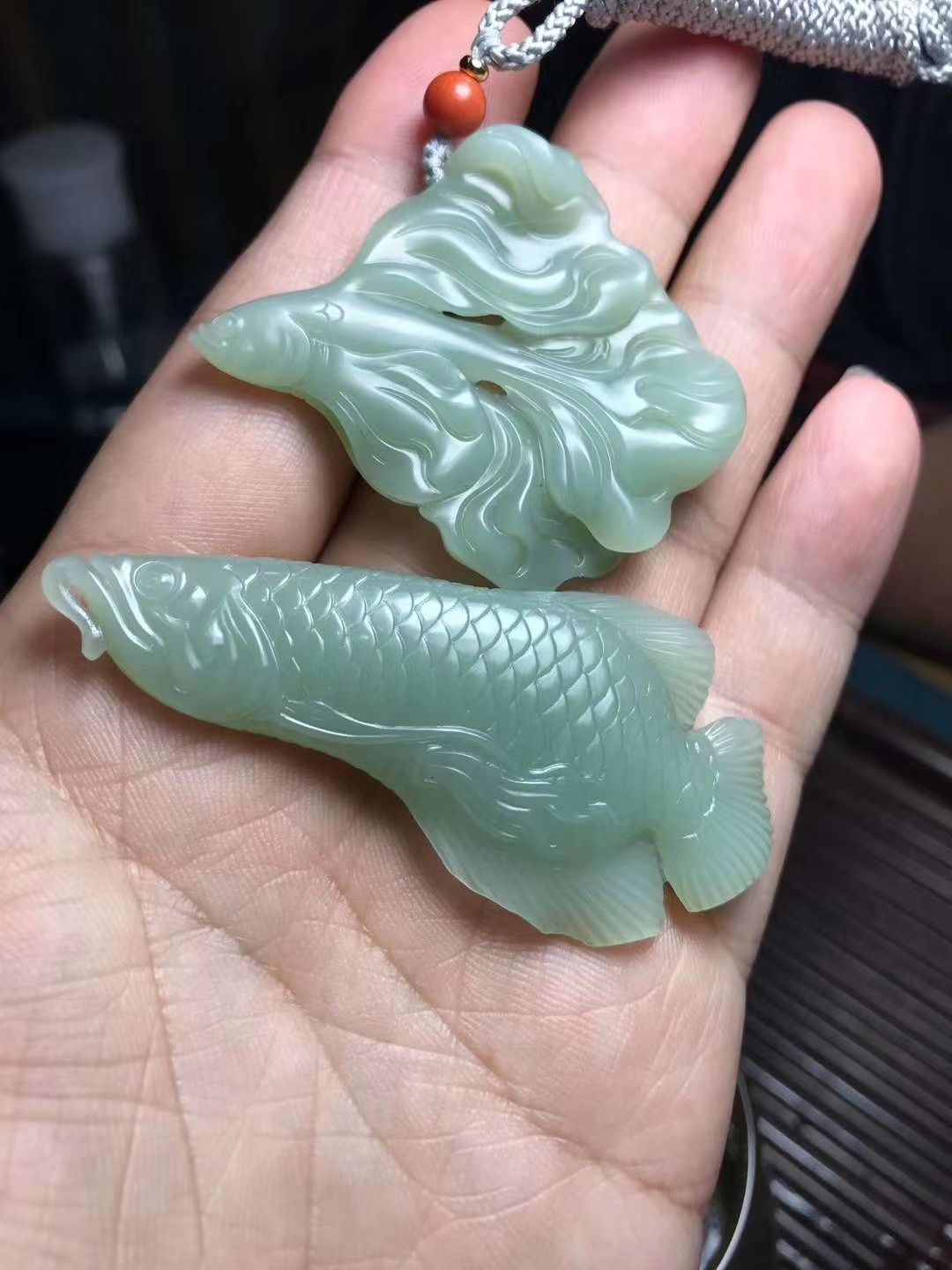 金龍魚化石你見過嗎？？？ 豹紋夫魚苗 第2張