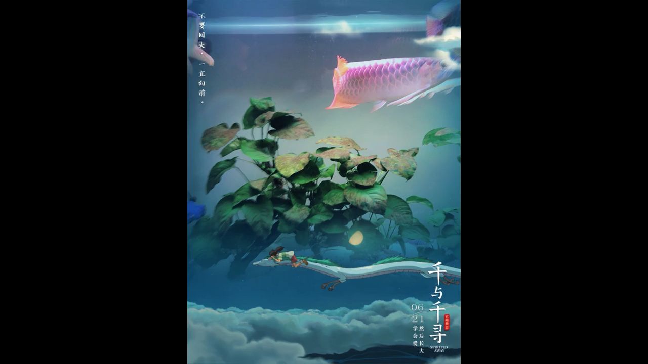 賜教龍魚圈