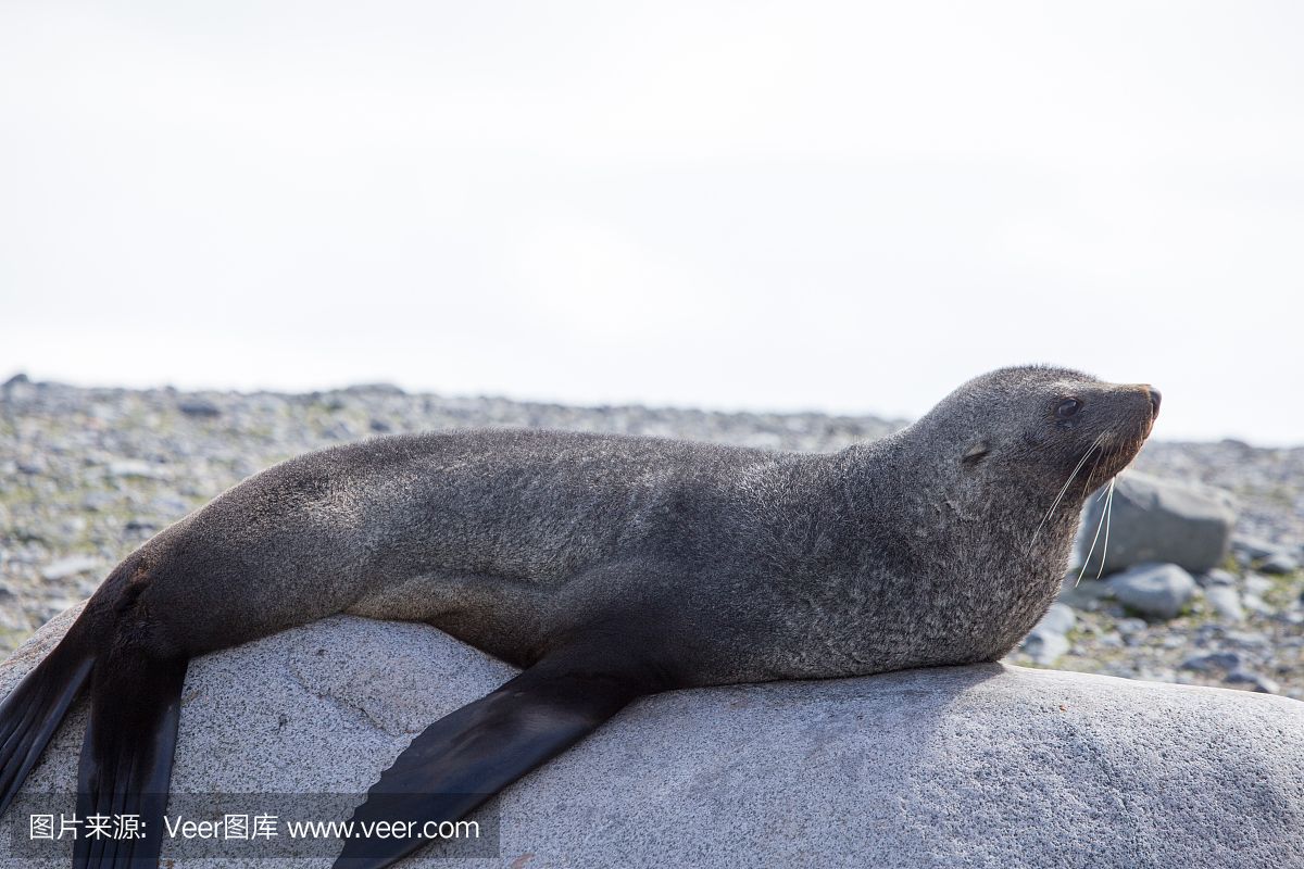 楊凌水族館龍魚側(cè)燈擺放位置