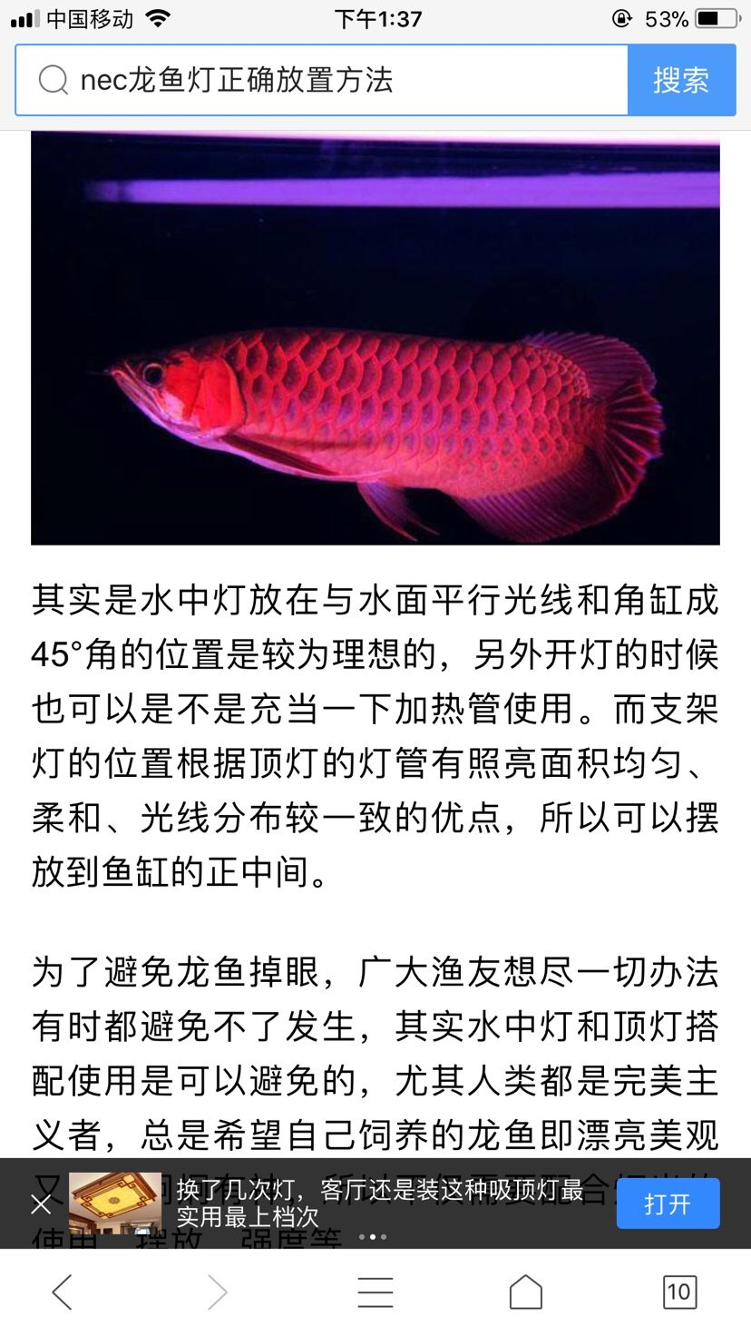 紅龍魚頂燈一白一紅可以嗎