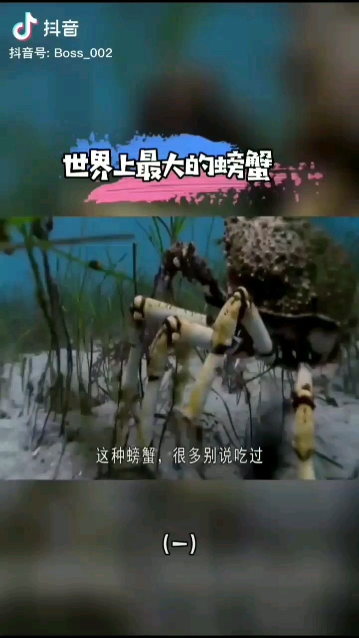 六盤水水族館蜘蛛蟹 巴西亞魚 第2張