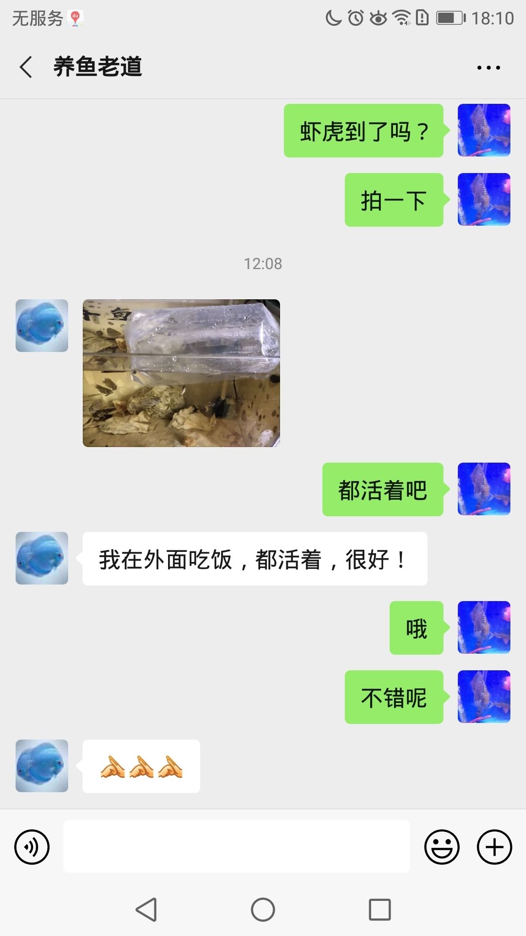 衢州觀賞魚市場有圖有真相