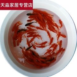 嗯湊合