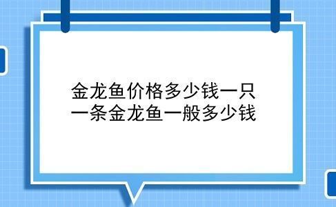 金龍魚一條價格貴嗎多少錢?。ㄈ绾伪鎰e金龍魚的品種）