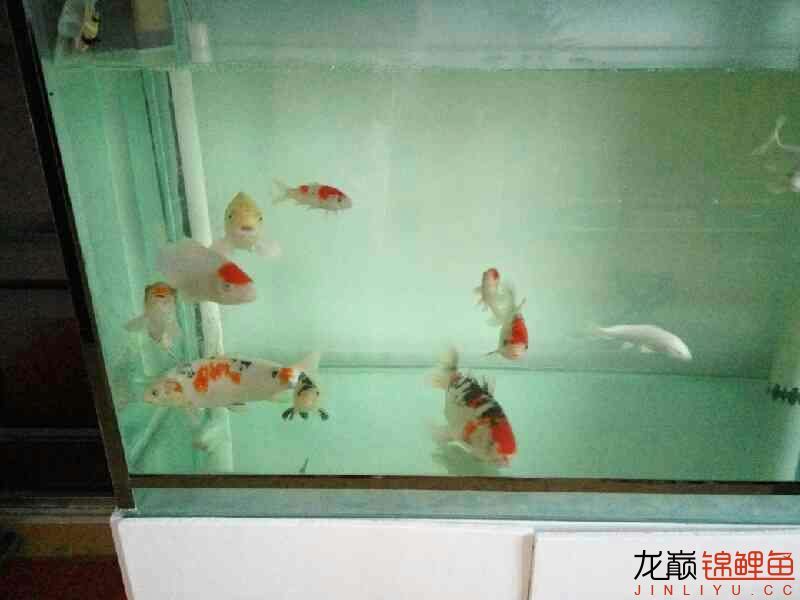 沈陽水族館養(yǎng)魚的快樂