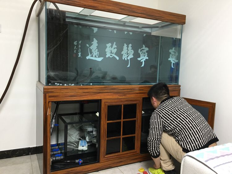 烏海觀賞魚市場魚缸已到位