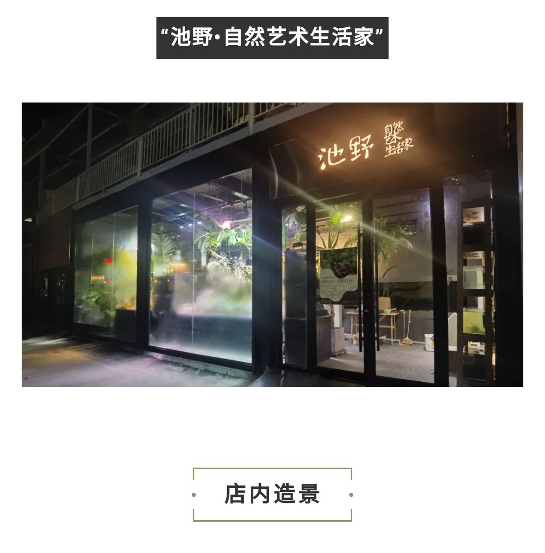 百城探店三｜池野?自然藝術(shù)生活家 一眉道人魚 第6張