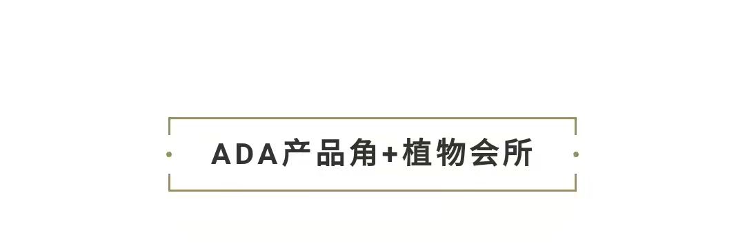 百城探店三｜池野?自然藝術(shù)生活家 一眉道人魚 第36張