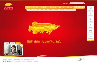 金龍魚宣傳詞怎么寫的（金龍魚廣告創(chuàng)意背后的故事金龍魚廣告創(chuàng)意背后的故事） 龍魚百科 第2張