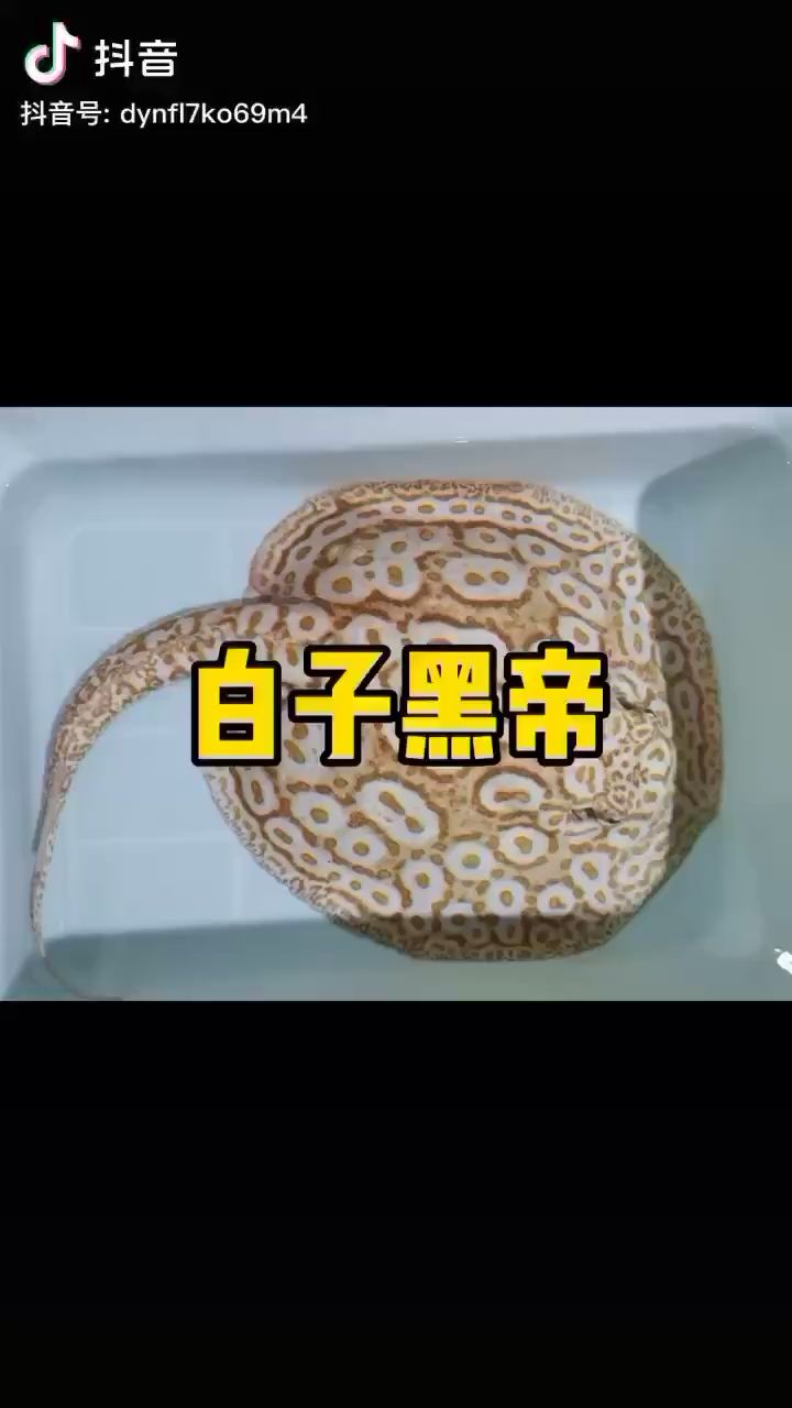 漲漲知識