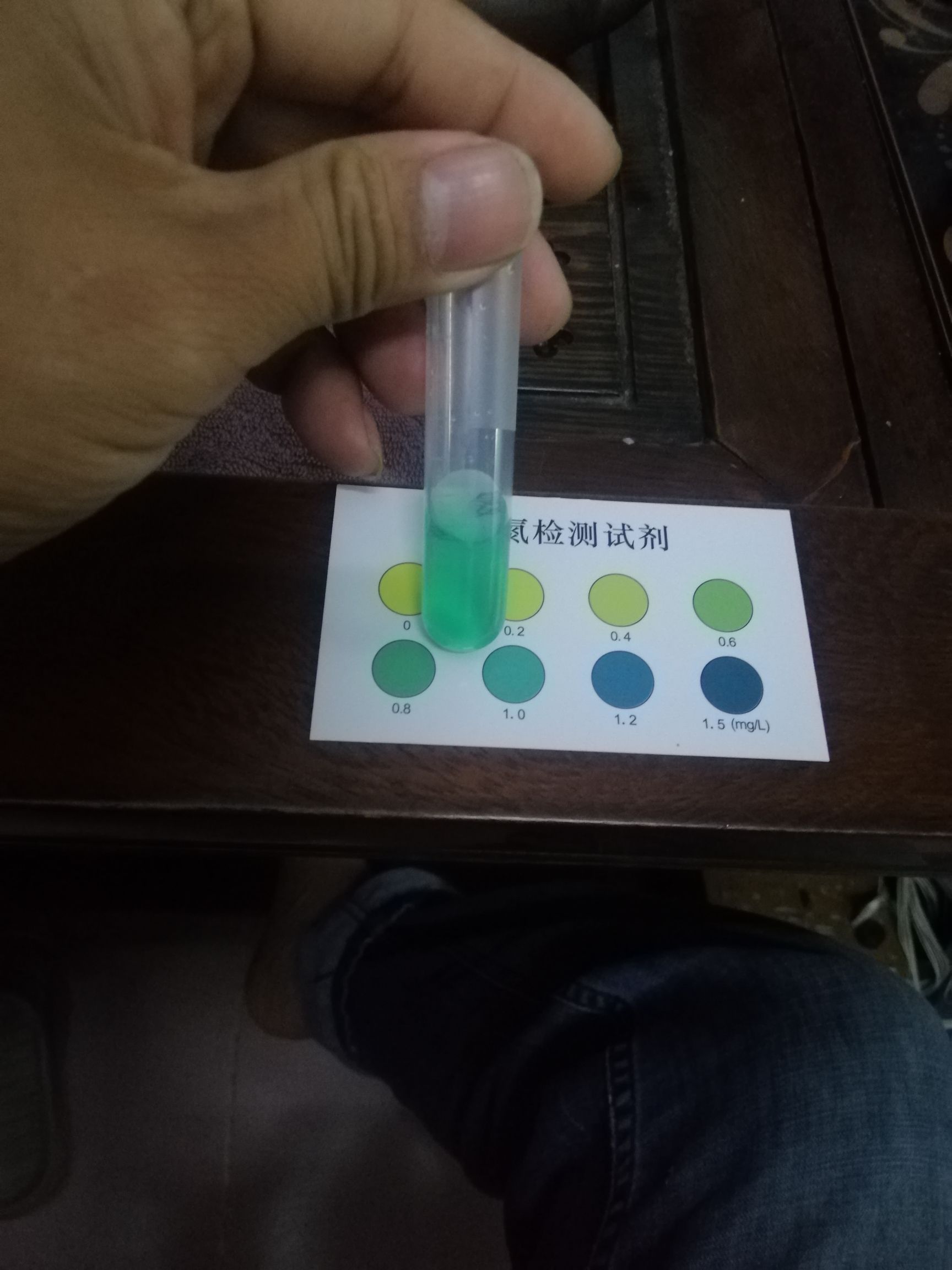 水龍頭出來的水質(zhì) 非洲象鼻魚 第2張