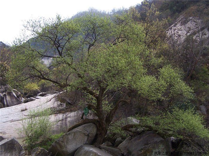 水還可以嗎？準(zhǔn)備請龍了