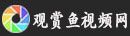 宿遷觀賞魚市場開始不打架了和諧生活開始了嗎？