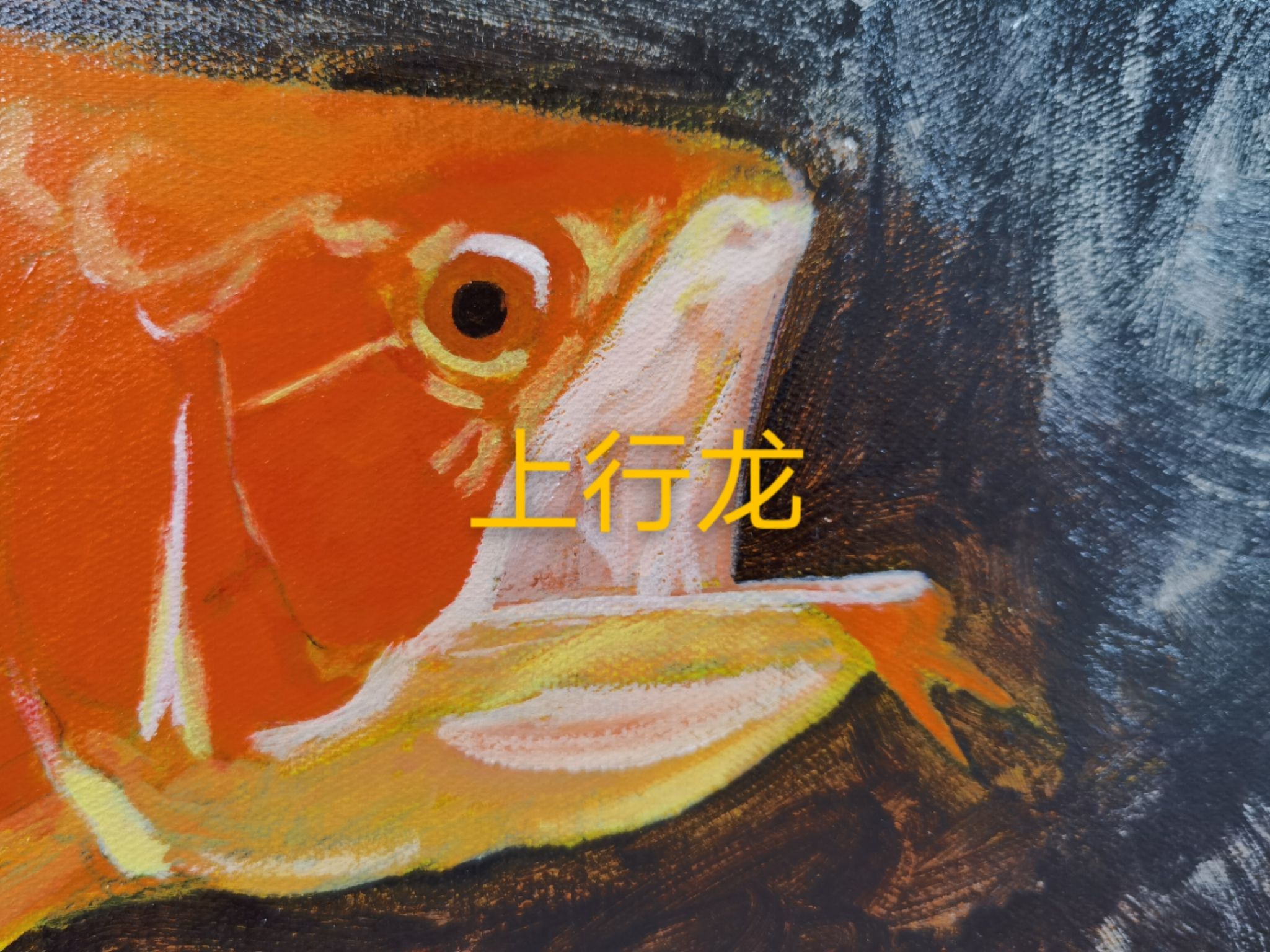 我就這樣手繪龍魚