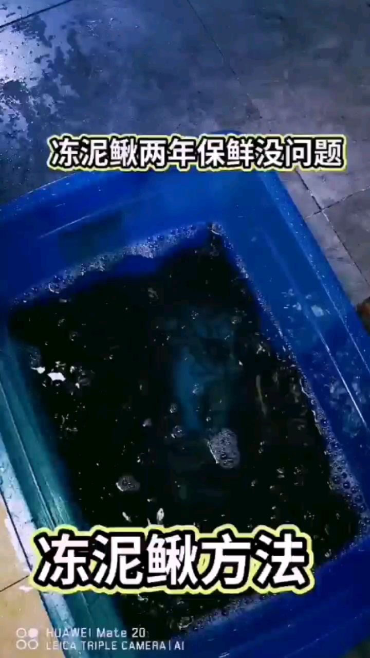 凍泥鰍小妙招