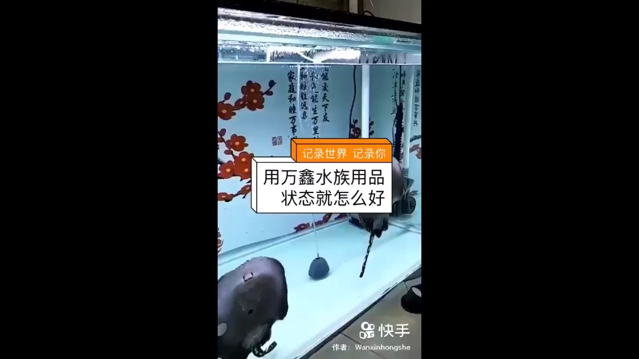 上手吃食 申古銀版魚 第2張