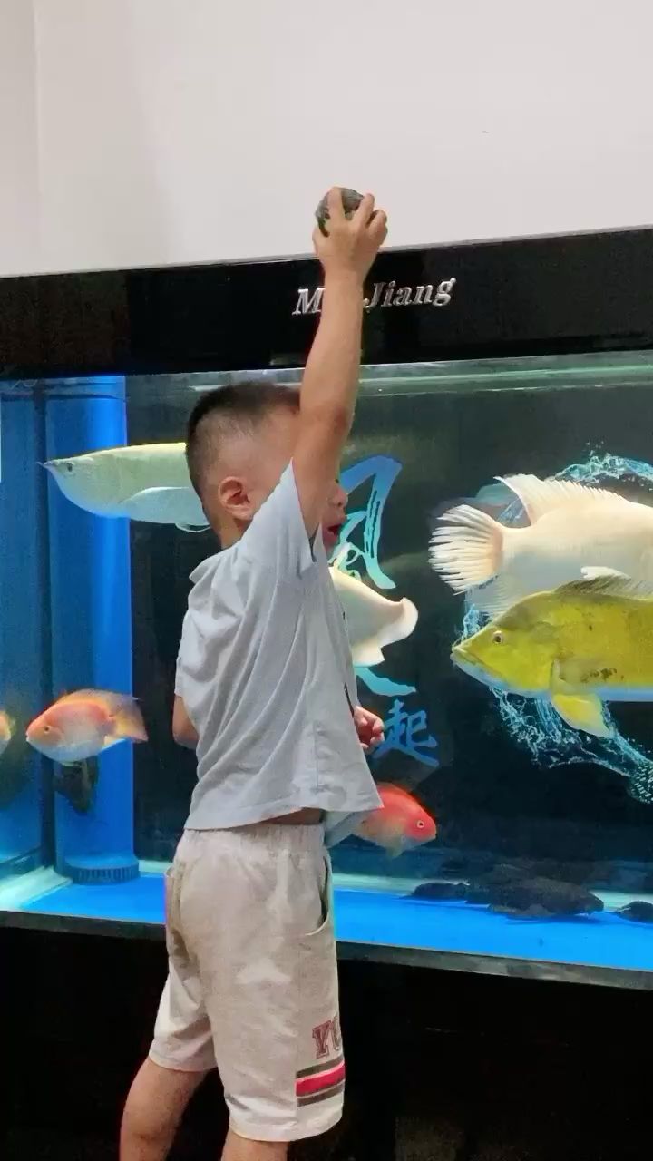 遵義水族批發(fā)市場大型魚