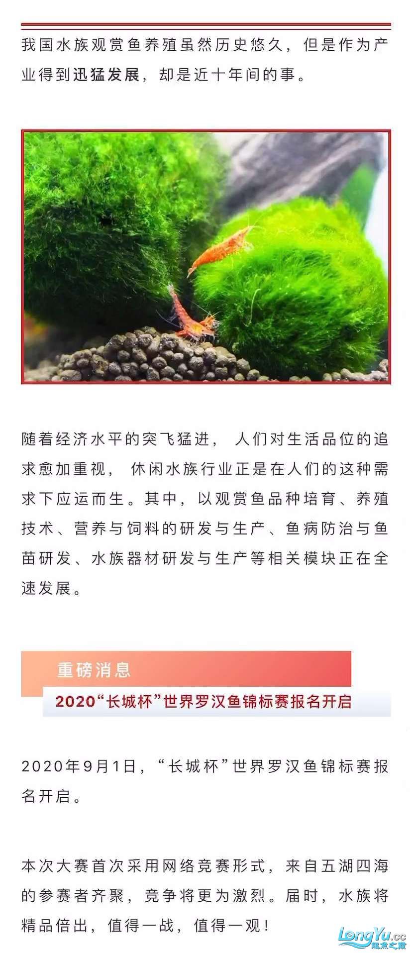 本溪觀賞魚市場深耕行業(yè)24年全球水族行業(yè)的重要貿(mào)易平臺(tái)—CIPS長城水族